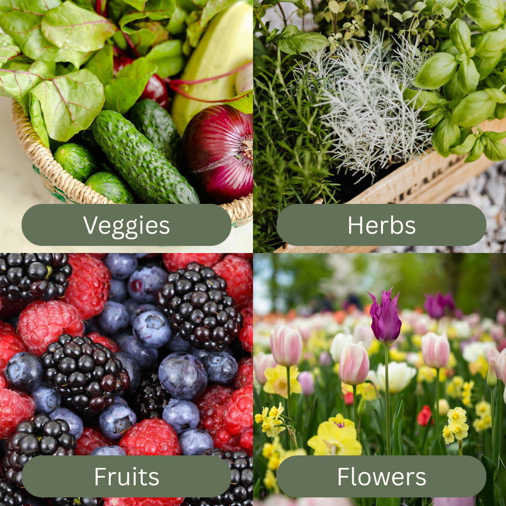 GermPro™