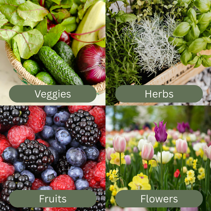 GermPro™